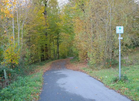 Foto eines asphaltierten Wegs mit grün-weißem Zwischenwegweiser, der in einen Wald führt und dort von Laub bedeckt ist